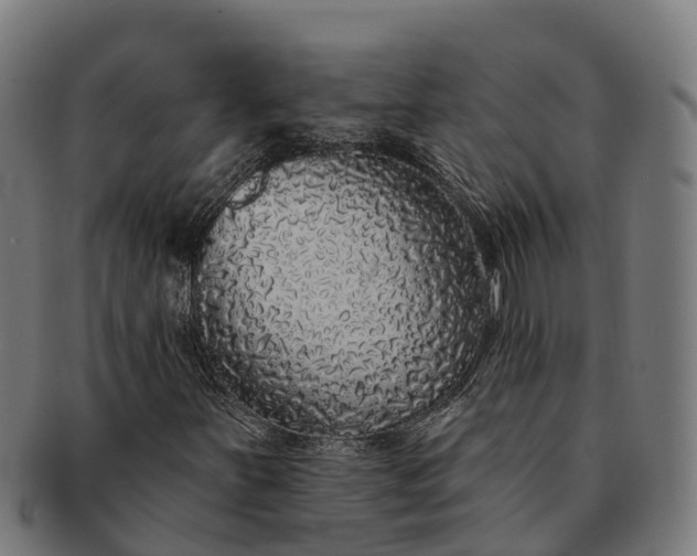 X0000091331251200708241152