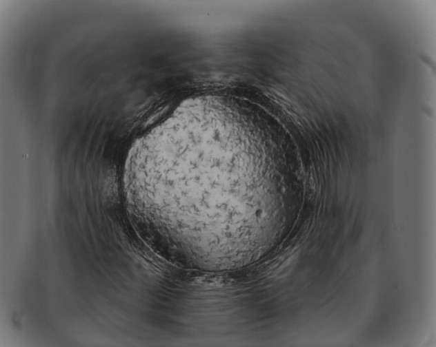 X0000091331252200708241152