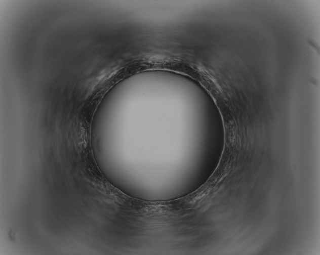 X0000091331253200708241152