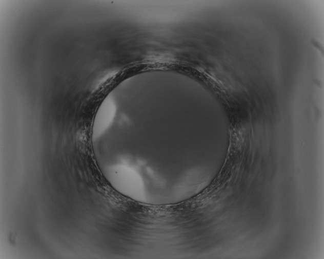 X0000091331254200708241152