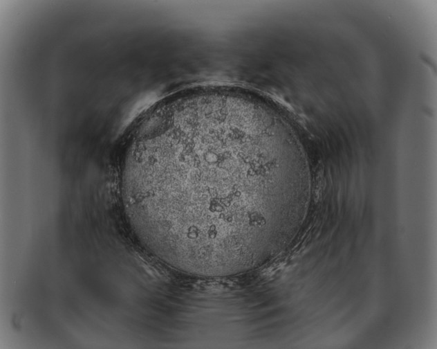 X0000091331255200708241152