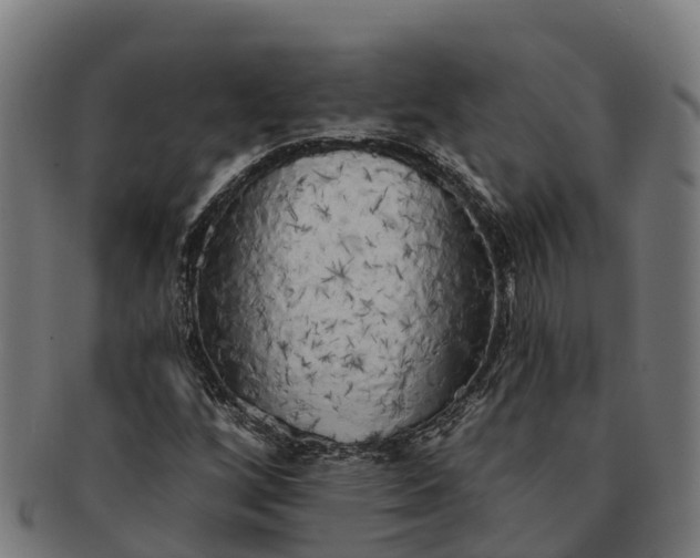 X0000091331256200708241152