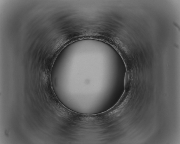 X0000091331257200708241152