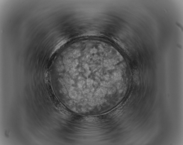 X0000091331258200708241152