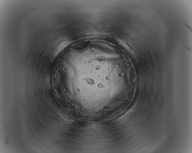 X0000091331259200708241152