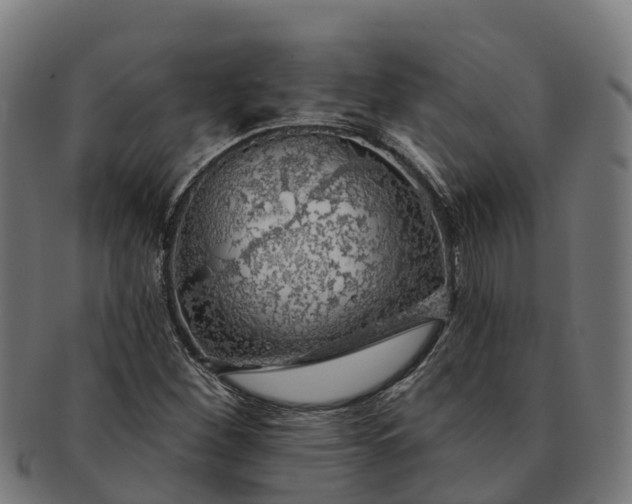 X0000091331260200708241152