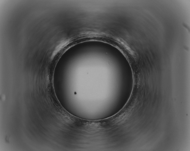 X0000091331261200708241152