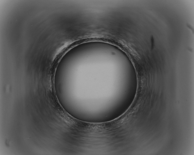 X0000091331262200708241152