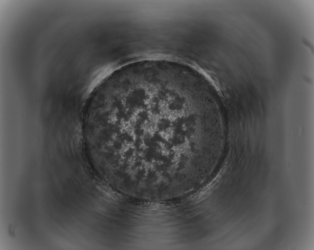 X0000091331263200708241152