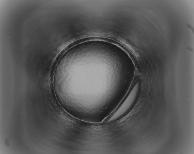 X0000091331264200708241152