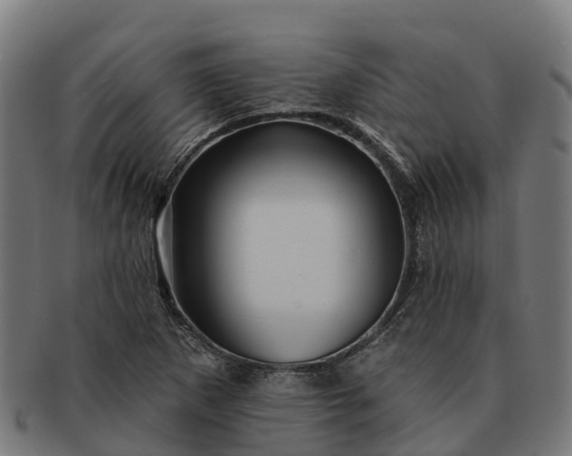 X0000091331265200708241152