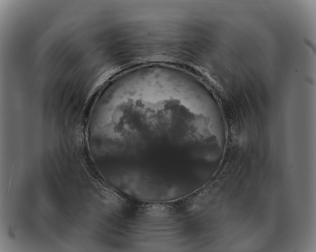 X0000091331266200708241152