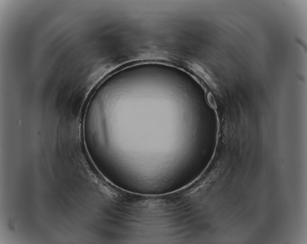 X0000091331268200708241152