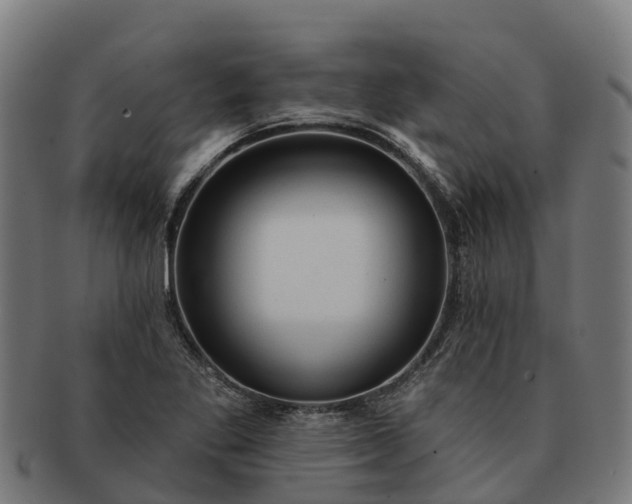 X0000091331269200708241152