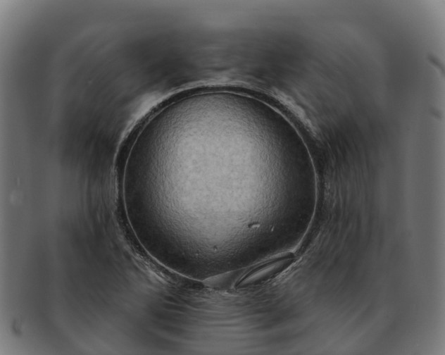 X0000091331270200708241152