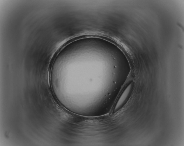 X0000091331272200708241152