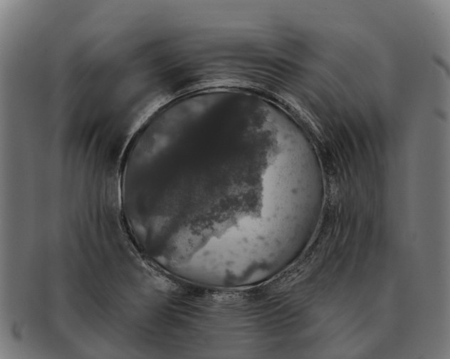 X0000091331274200708241152