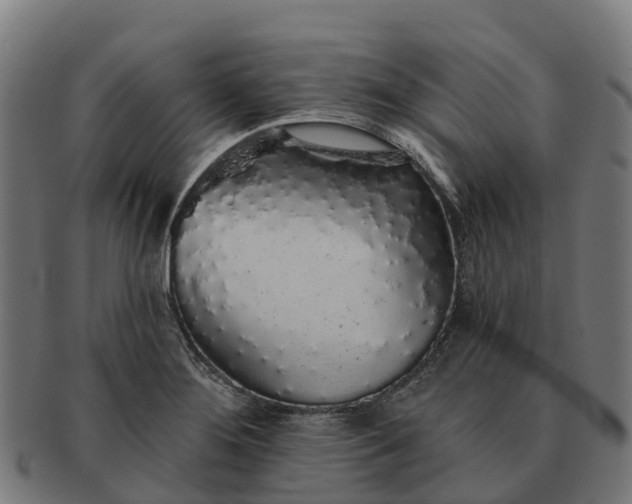 X0000091331276200708241152