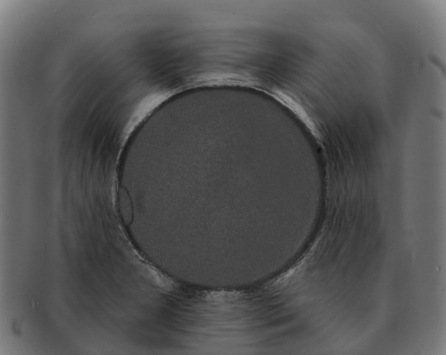 X0000091331277200708241152