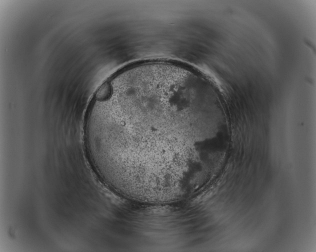 X0000091331279200708241152