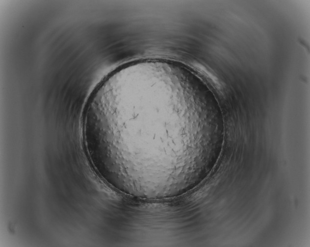 X0000091331280200708241152