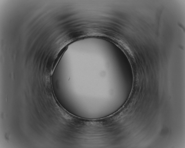 X0000091331281200708241152