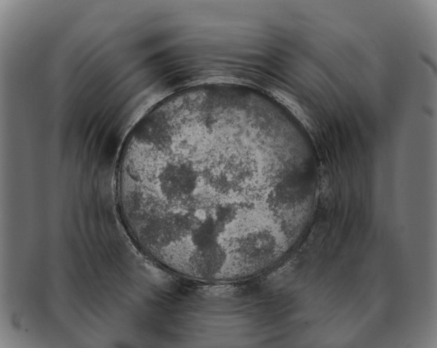 X0000091331282200708241152