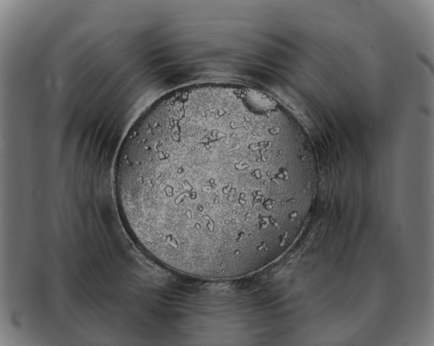 X0000091331283200708241152