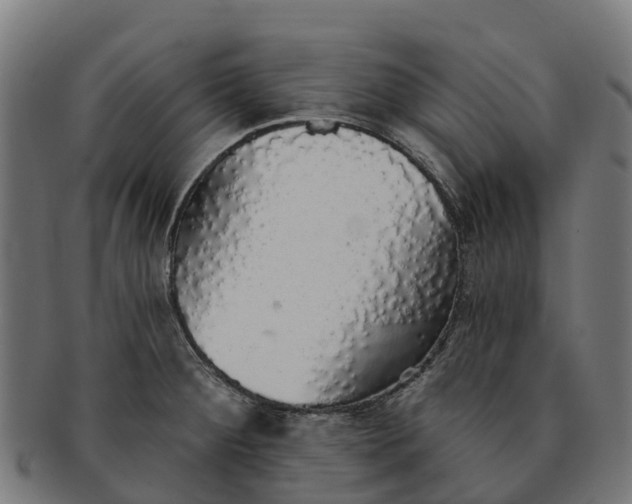 X0000091331284200708241152