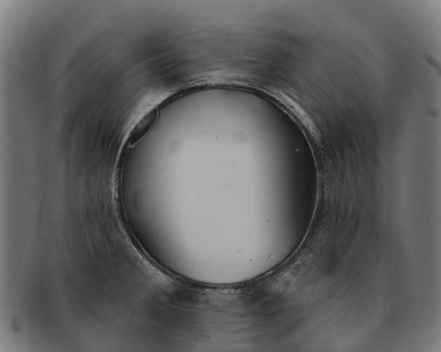 X0000091331285200708241152