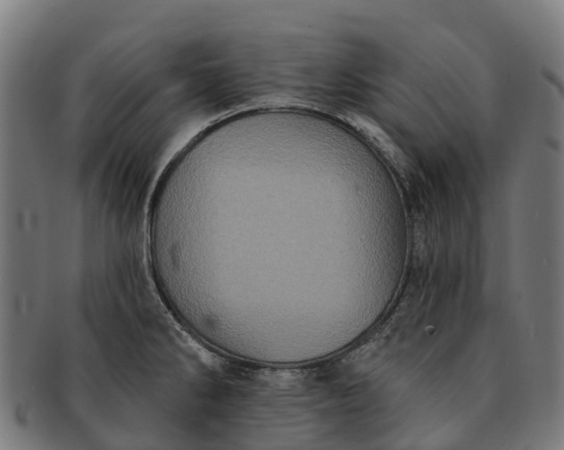 X0000091331286200708241152