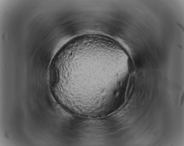 X0000091331287200708241152