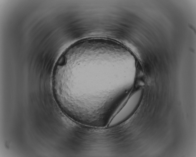 X0000091331288200708241152