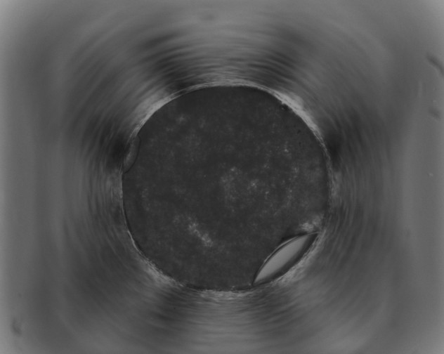 X0000091331289200708241152