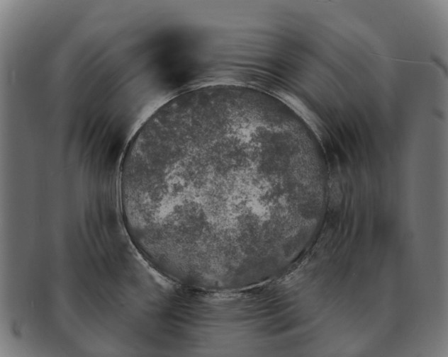 X0000091331290200708241152