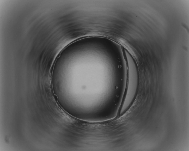 X0000091331292200708241152