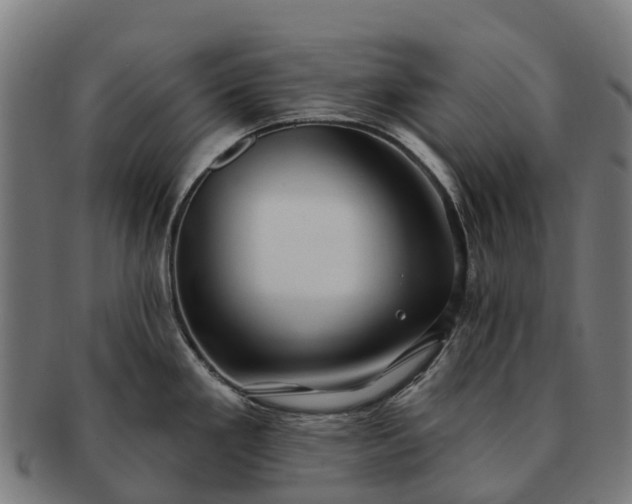 X0000091331293200708241151