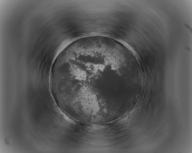 X0000091331294200708241151