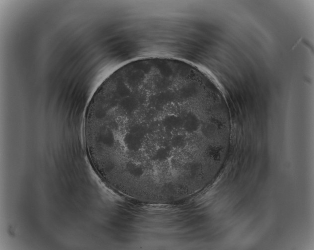 X0000091331295200708241151