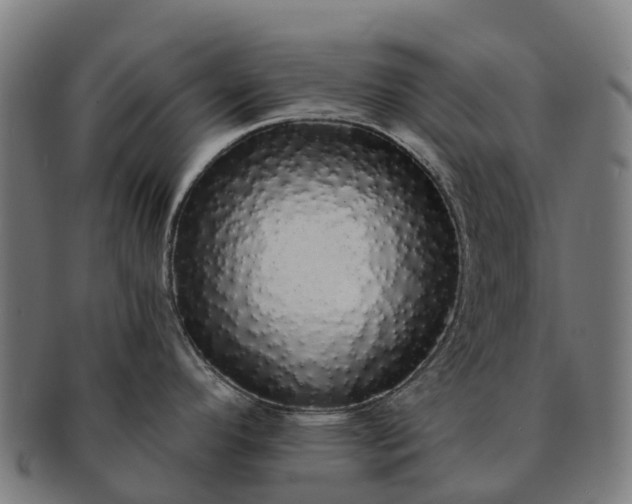 X0000091331296200708241151