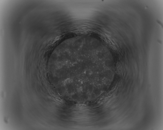 X0000091331297200708241151