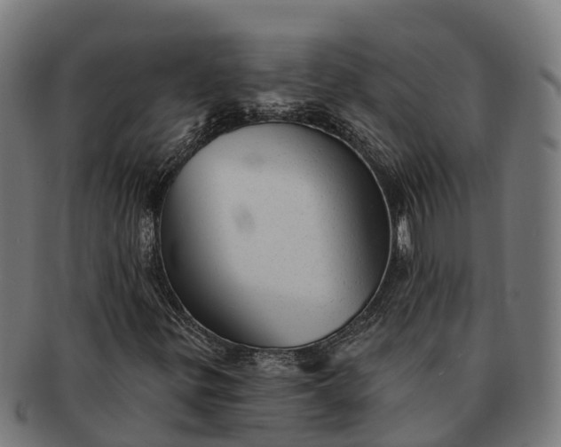 X0000091331299200708241151