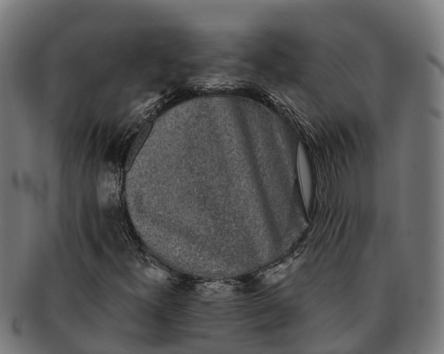 X0000091331300200708241151