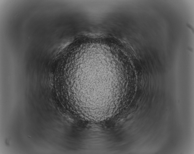 X0000091331301200708241151