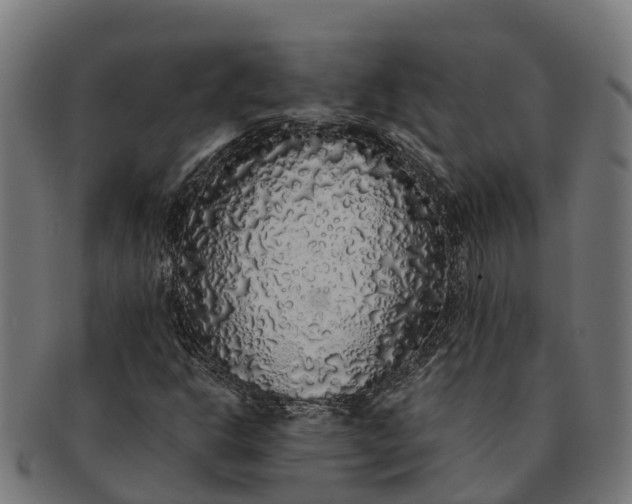 X0000091331302200708241151