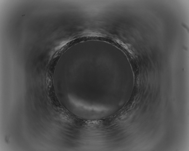 X0000091331303200708241151