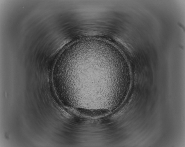 X0000091331305200708241151