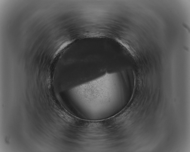 X0000091331306200708241151