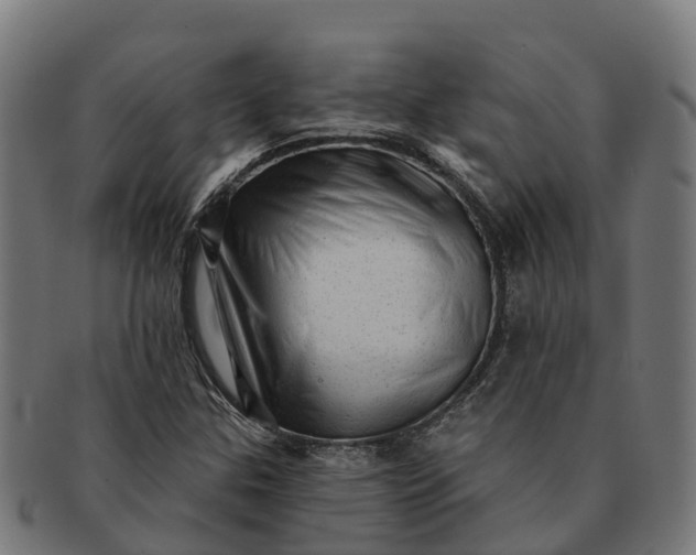 X0000091331307200708241151