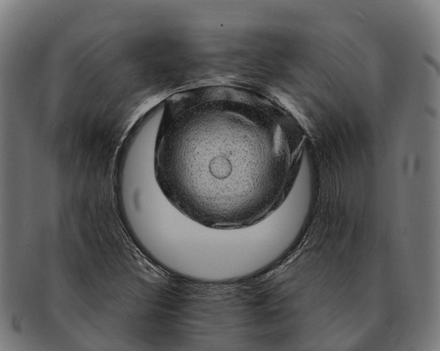 X0000091331308200708241151